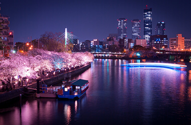 毛馬桜之宮公園の夜桜