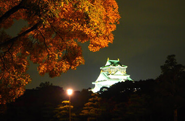 紅葉がライトアップされた大阪城